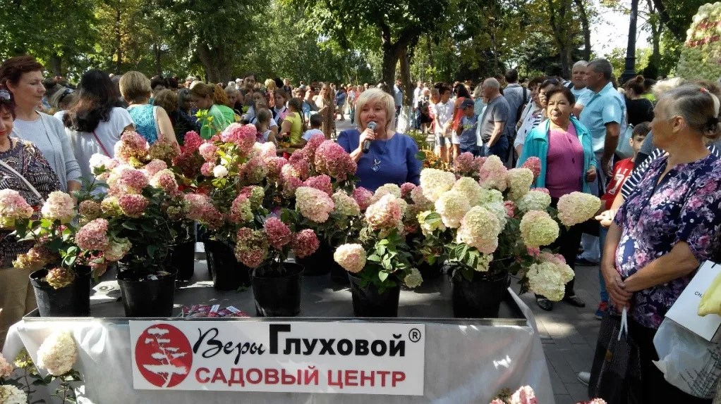 Презентация сорта Самарская Лидия в Струковском парке г. Самара 2018 год (1).jpg Презентация сорта Самарская Лидия в Струковском парке г. Самара 2018 год (1).jpg